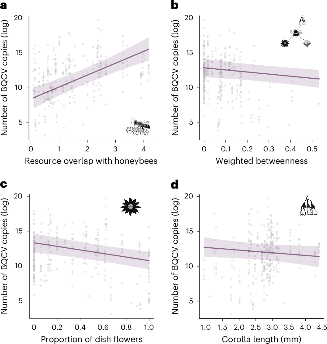 Fig. 3: BQCV loads related to plant species traits and pollinator roles in the network.