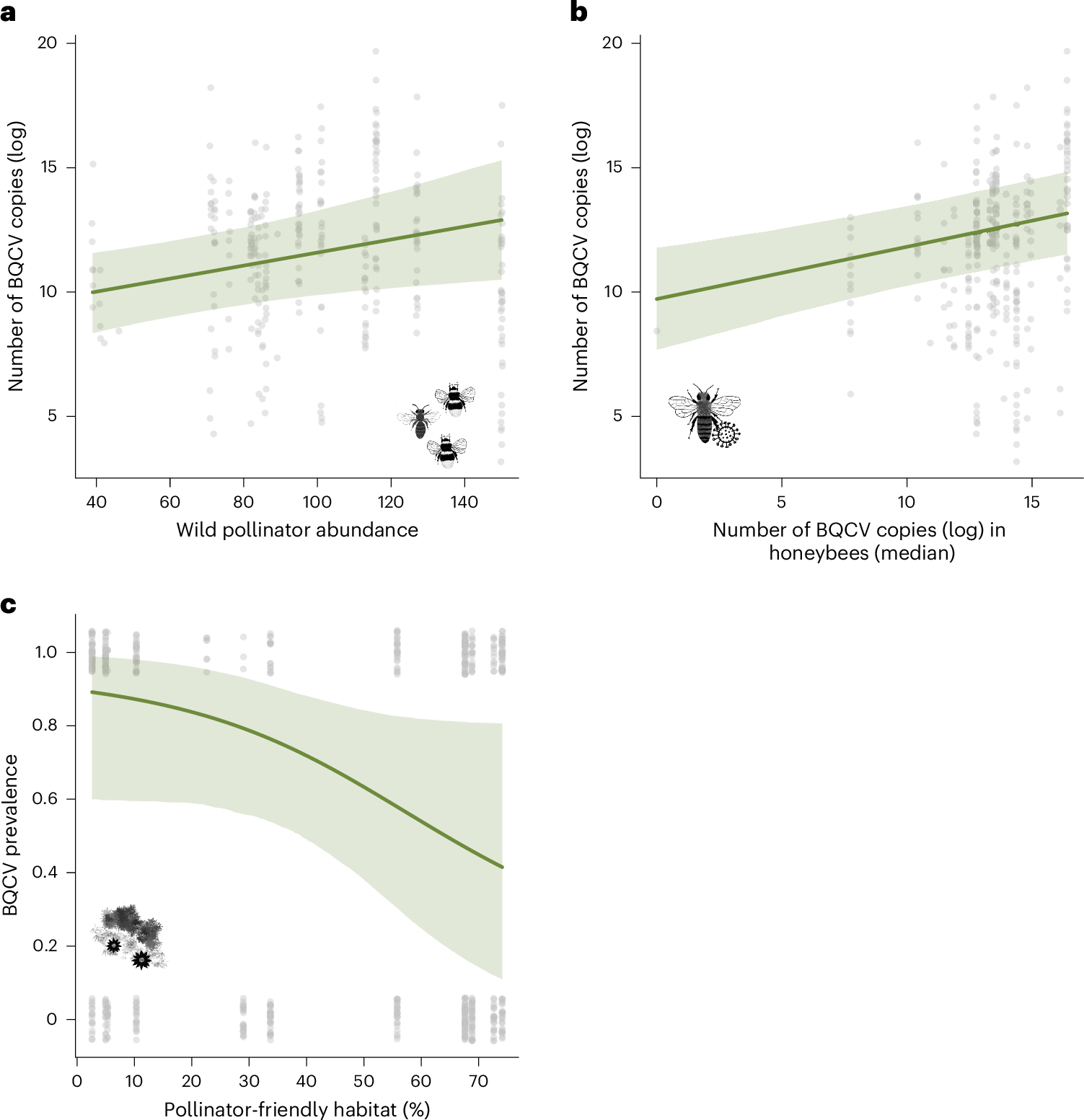 Fig. 5: BQCV loads or prevalence related to drivers assessed at the landscape scale.
