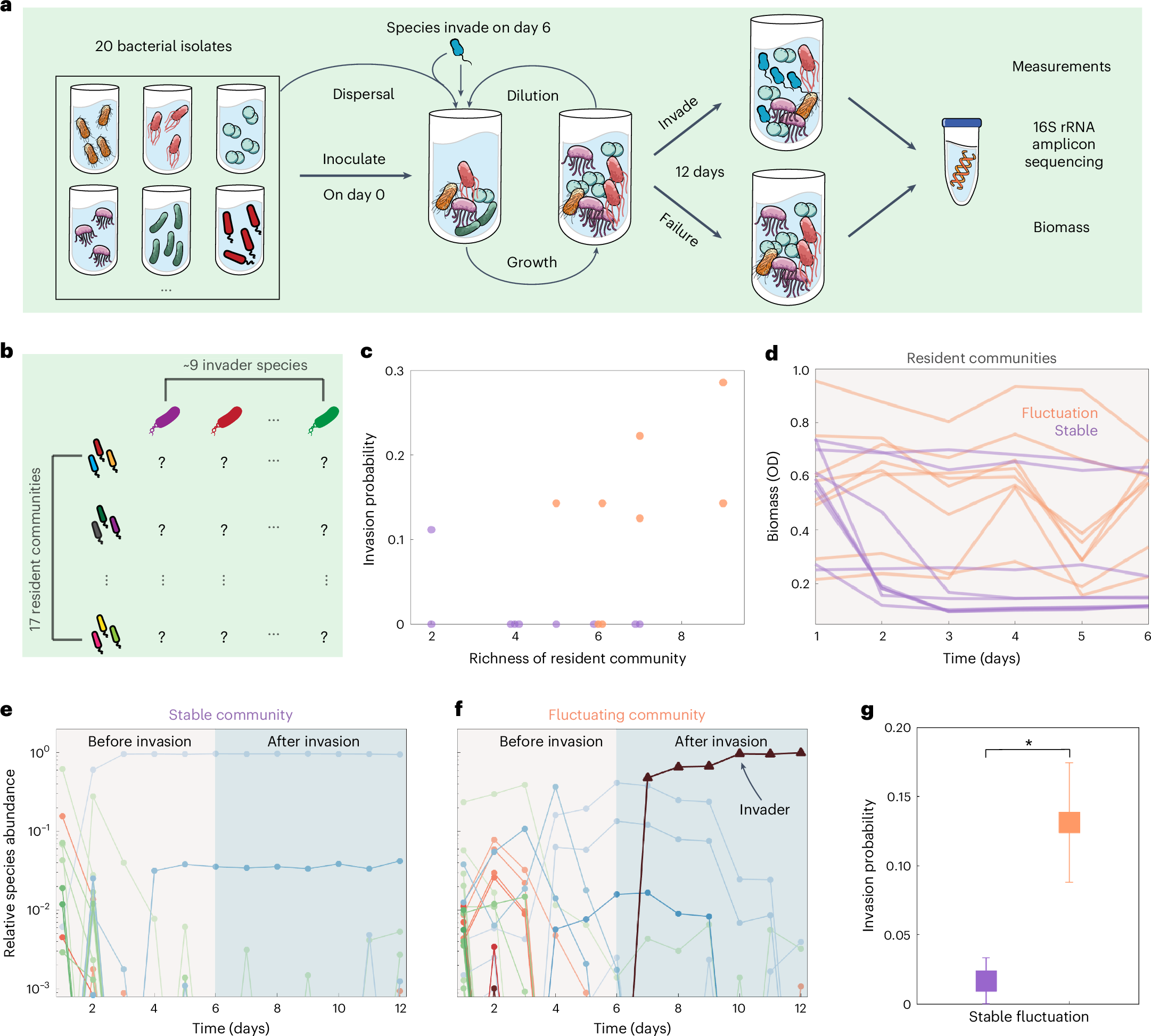 生物種が生態系への侵入に成功するかどうかを判断する新しい方法(A new way to determine whether a species will successfully invade an ecosystem)