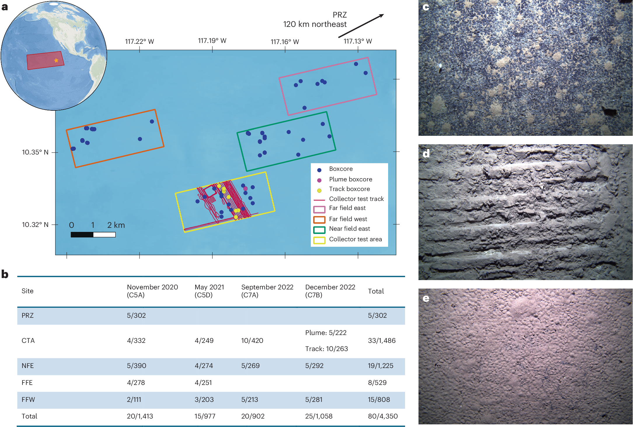 Deep-sea mining test sharply reduces seabed macrofauna biodiversity
