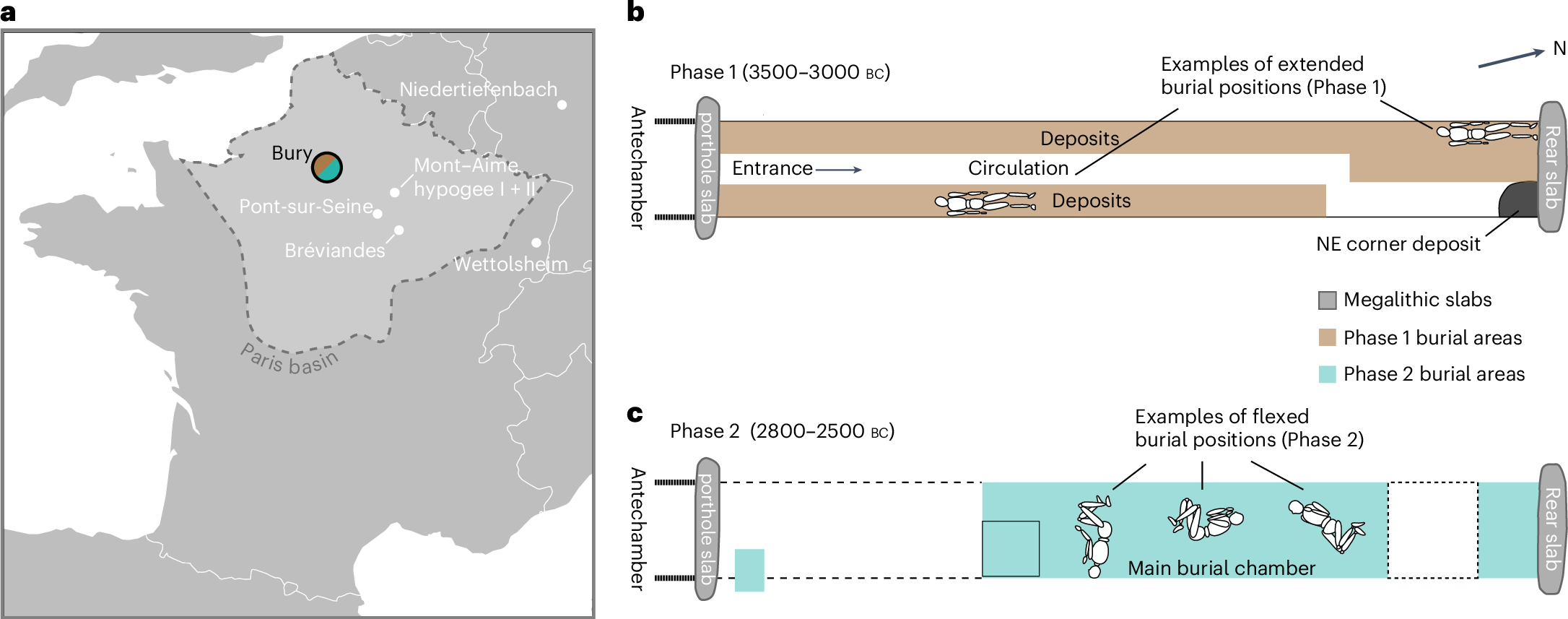 DNA研究により石器時代の人口崩壊を解明（Stone age population collapse revealed by DNA study in France）