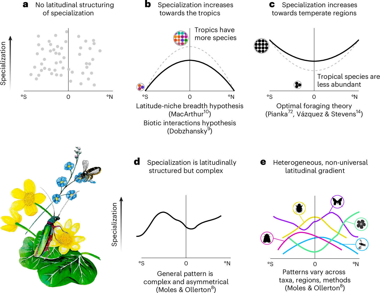 Photograph accompanying Temperature and rainfall track pollination specialization more closely than latitude does