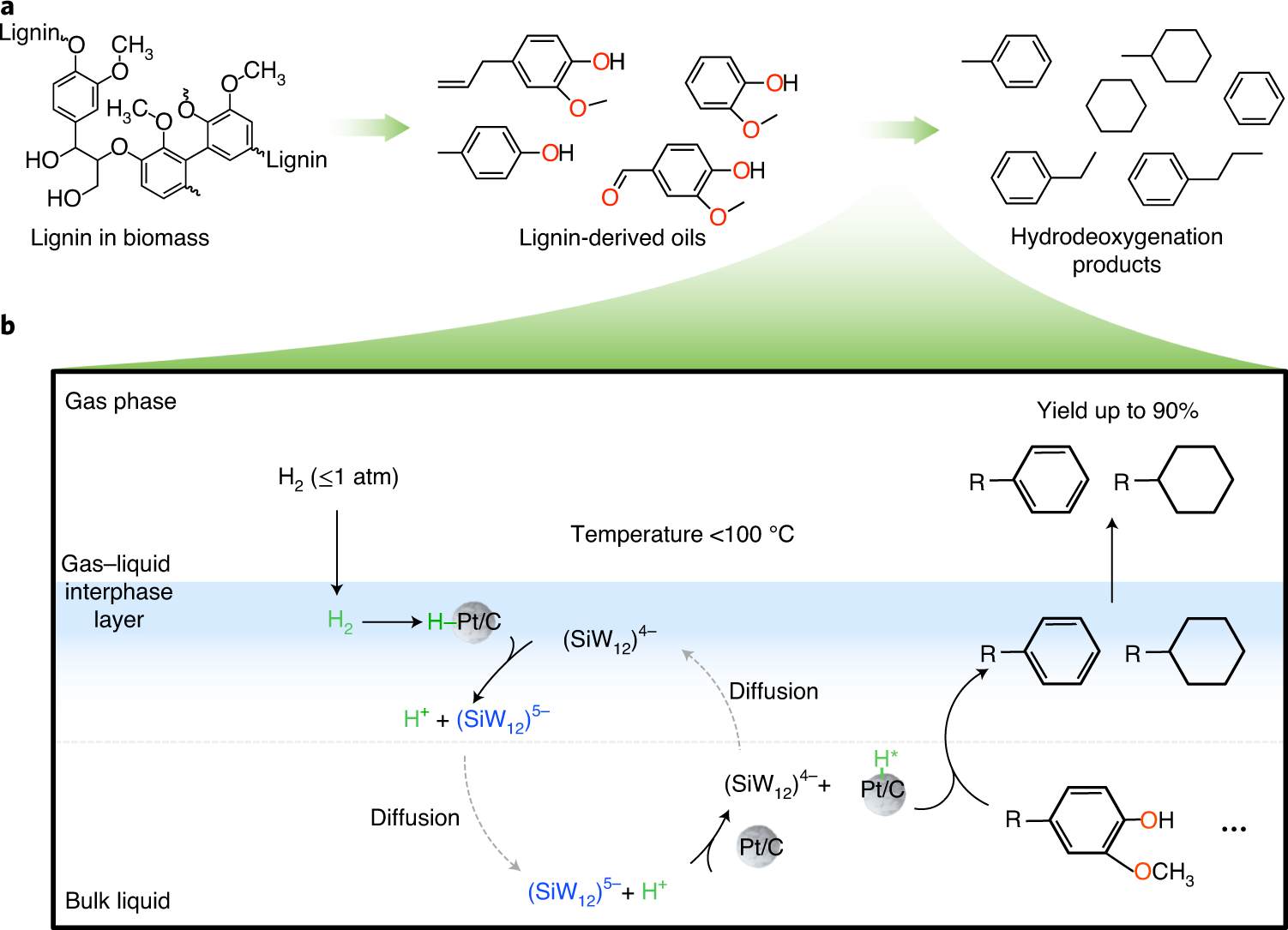 Ambient-pressure and low-temperature upgrading of lignin bio-oil to  hydrocarbons using a hydrogen buffer catalytic system | Nature Energy