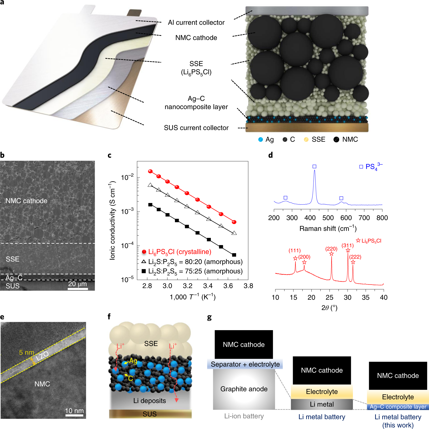 High Energy Long Cycling All Solid State Lithium Metal Batteries Enabled By Silver Carbon Composite Anodes Nature Energy