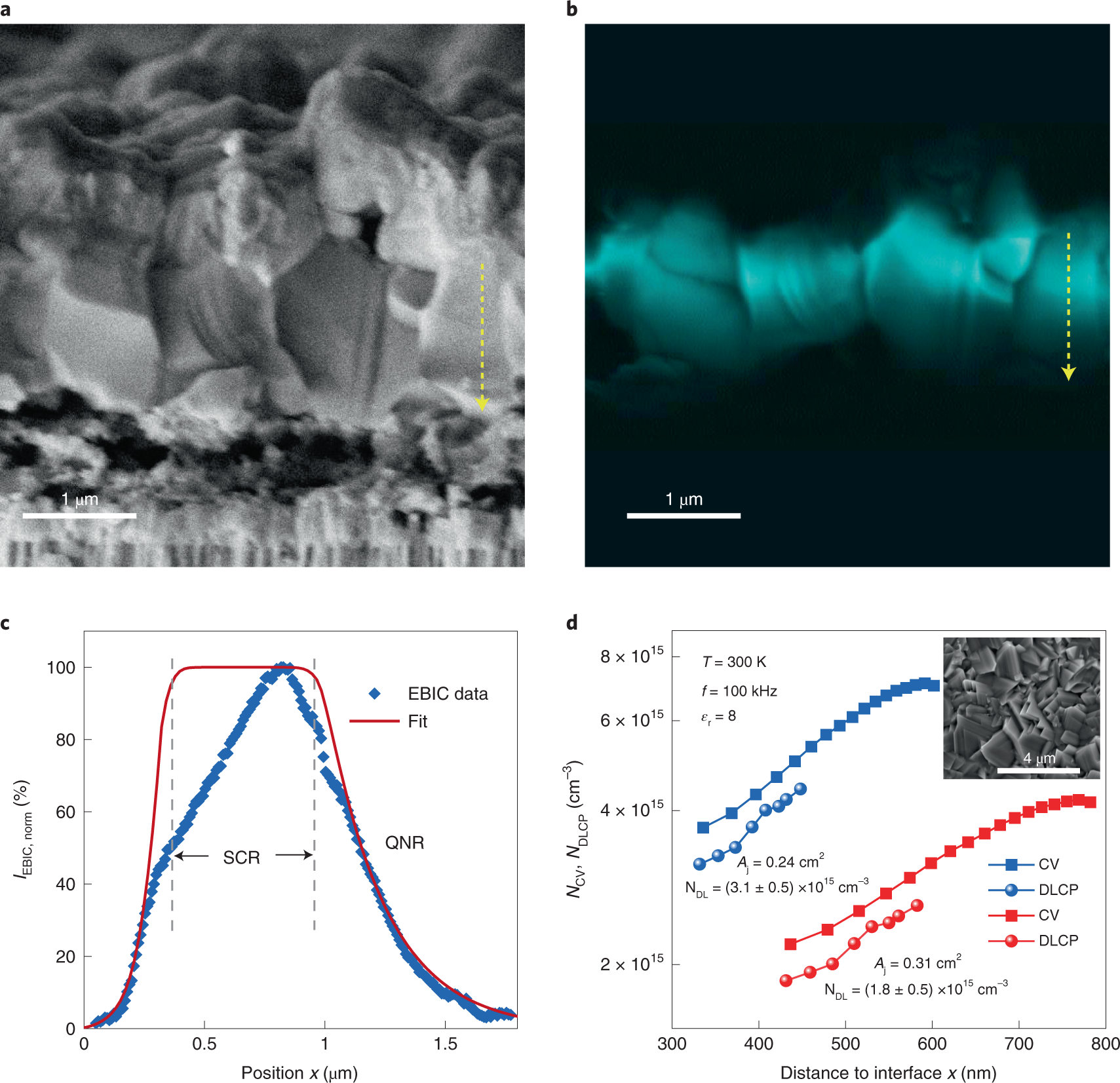 Fig. 4: Electron beam-induced current and carrier density analysis.