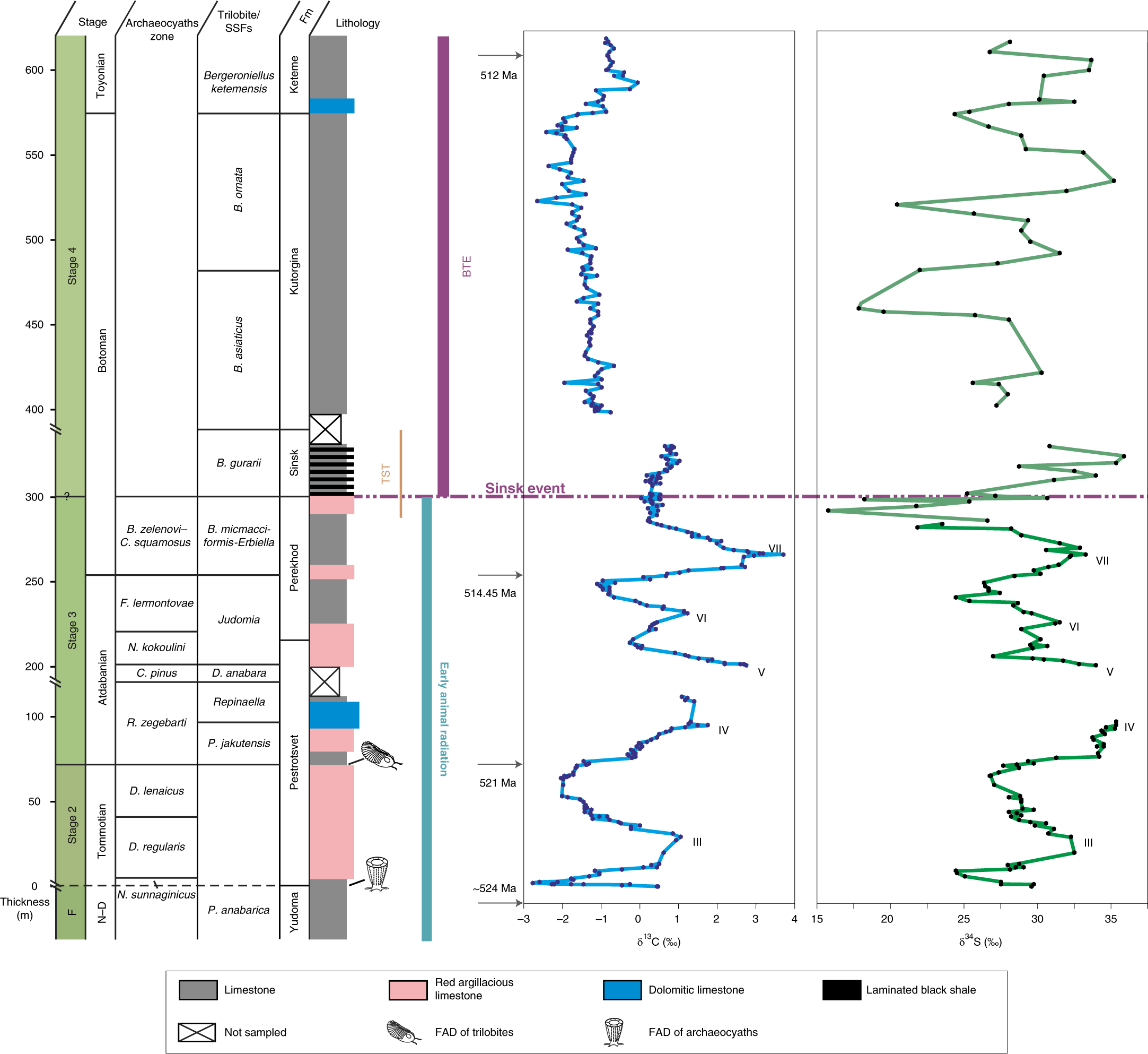 Possible links between extreme oxygen perturbations and the Cambrian radiation of animals | Nature Geoscience Possible links between extreme oxygen perturbations and the Cambrian radiation of animals | Nature Geoscience