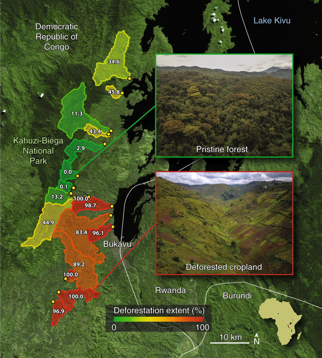 Mobilization of aged and biolabile soil carbon by tropical deforestation |  Nature Geoscience