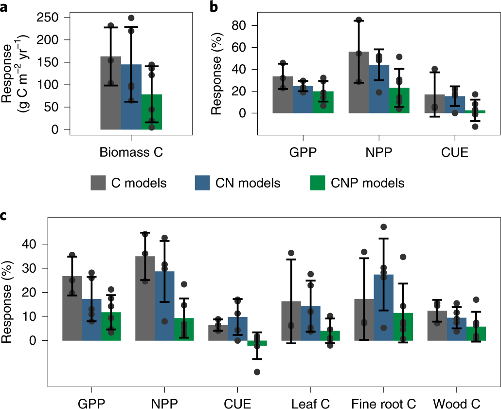 Amazon Forest Response To Co 2 Fertilization Dependent On