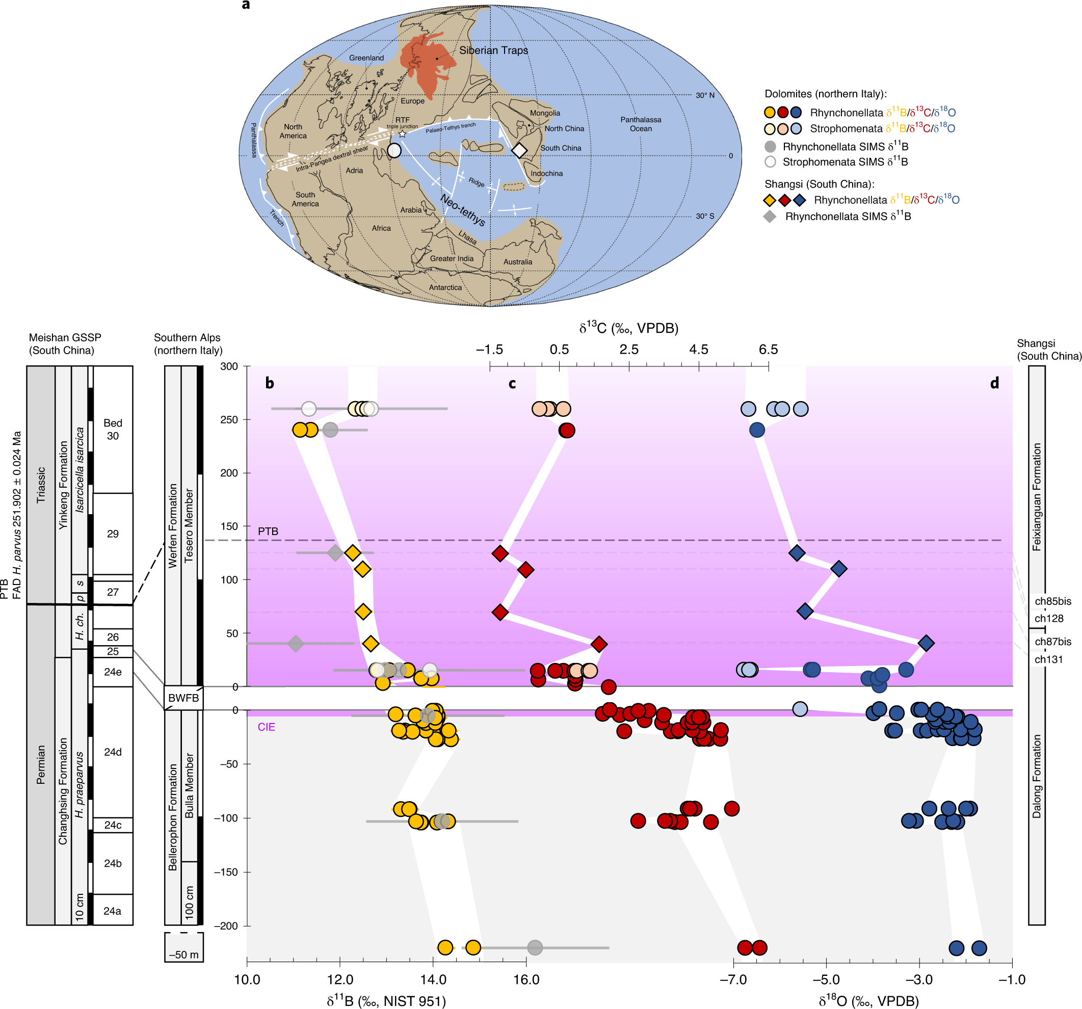 Late Permian (P.) to early Early Triassic (A) δ 13 C, (B) δ 238 U, and