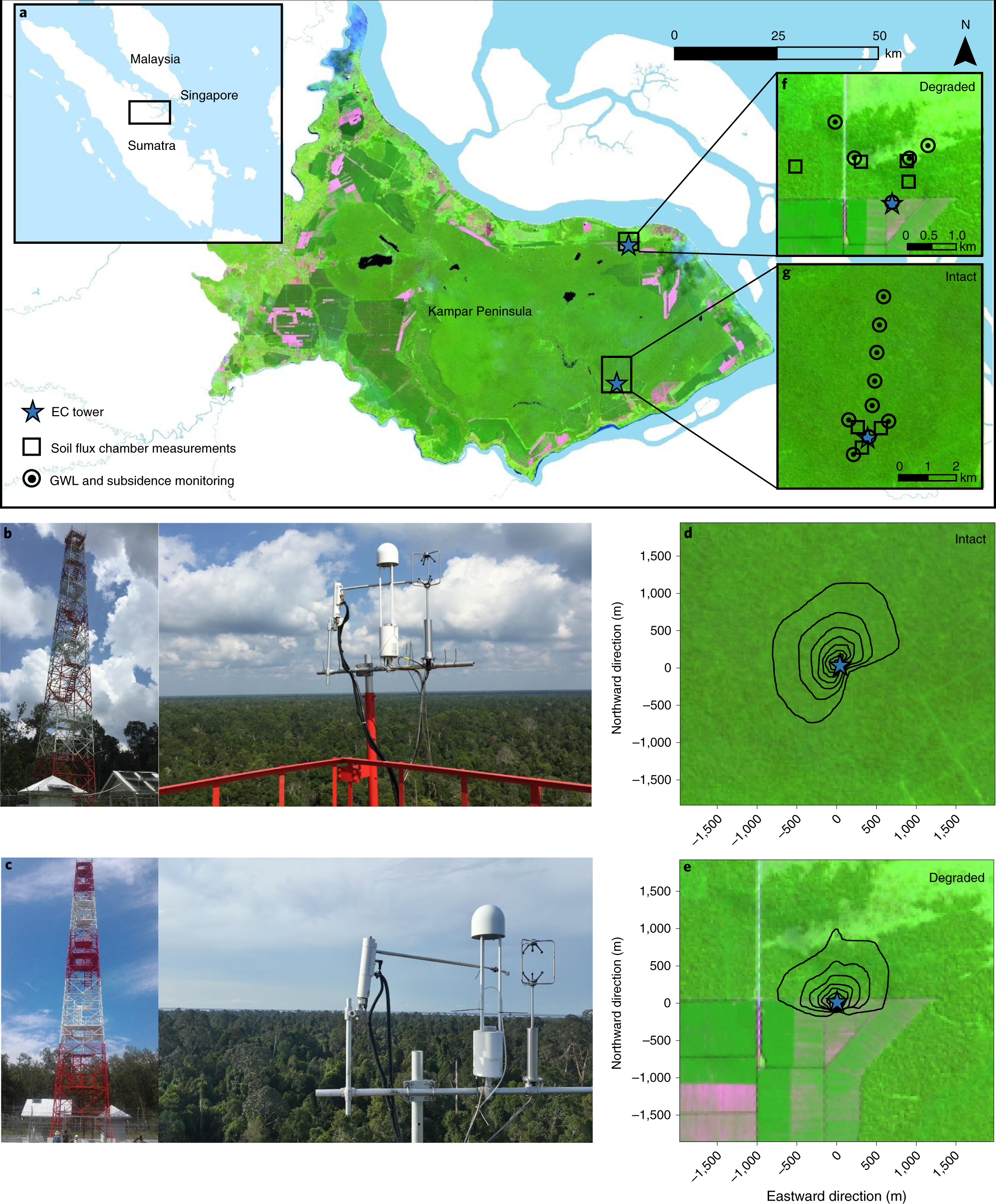 Conservation slows down emission increase from a tropical peatland in  Indonesia | Nature Geoscience