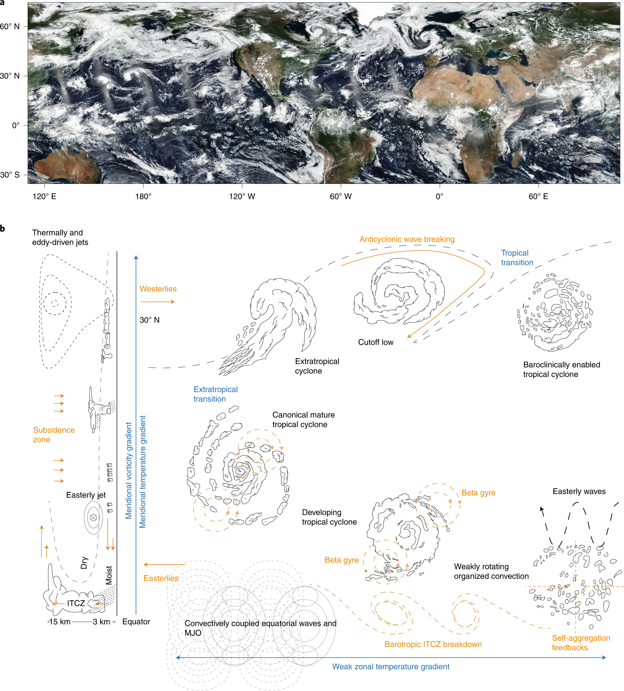 Midlatitude storms in a moister world: lessons from idealized baroclinic  life cycle experiments