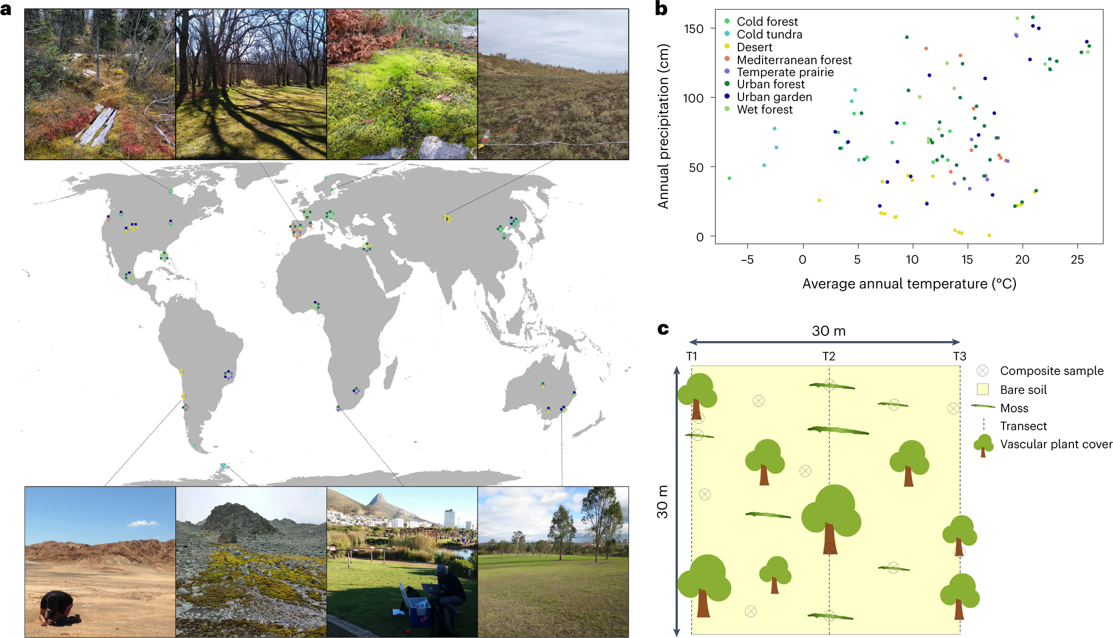 The global contribution of soil mosses to ecosystem services | Nature  Geoscience