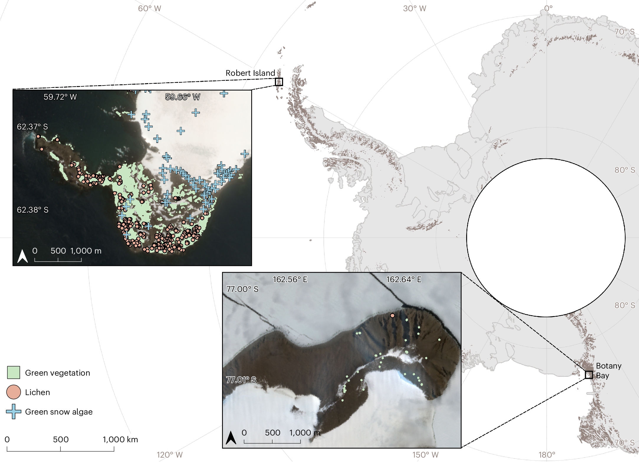 Fig. 4: Contrast in detected vegetation between Robert Island (maritime Antarctic) and Botany Bay (continental Antarctic).