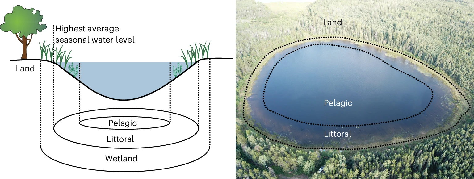 Coastline of Lakes an Important Part of Global Carbon Cycle