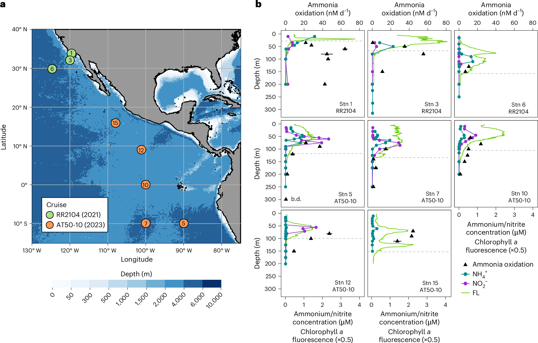 深海炭素固定の担い手である微生物（The mystery of the missing deep ocean carbon fixers）