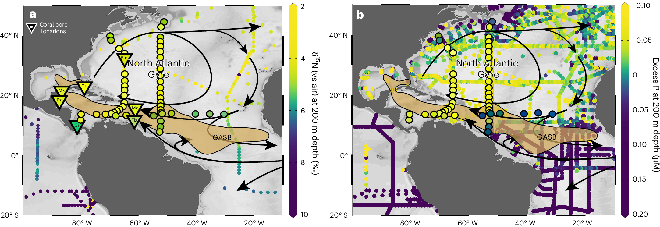 サルガッサム藻類の大発生の駆動因を特定（The Driver of Sargassum Blooms）
