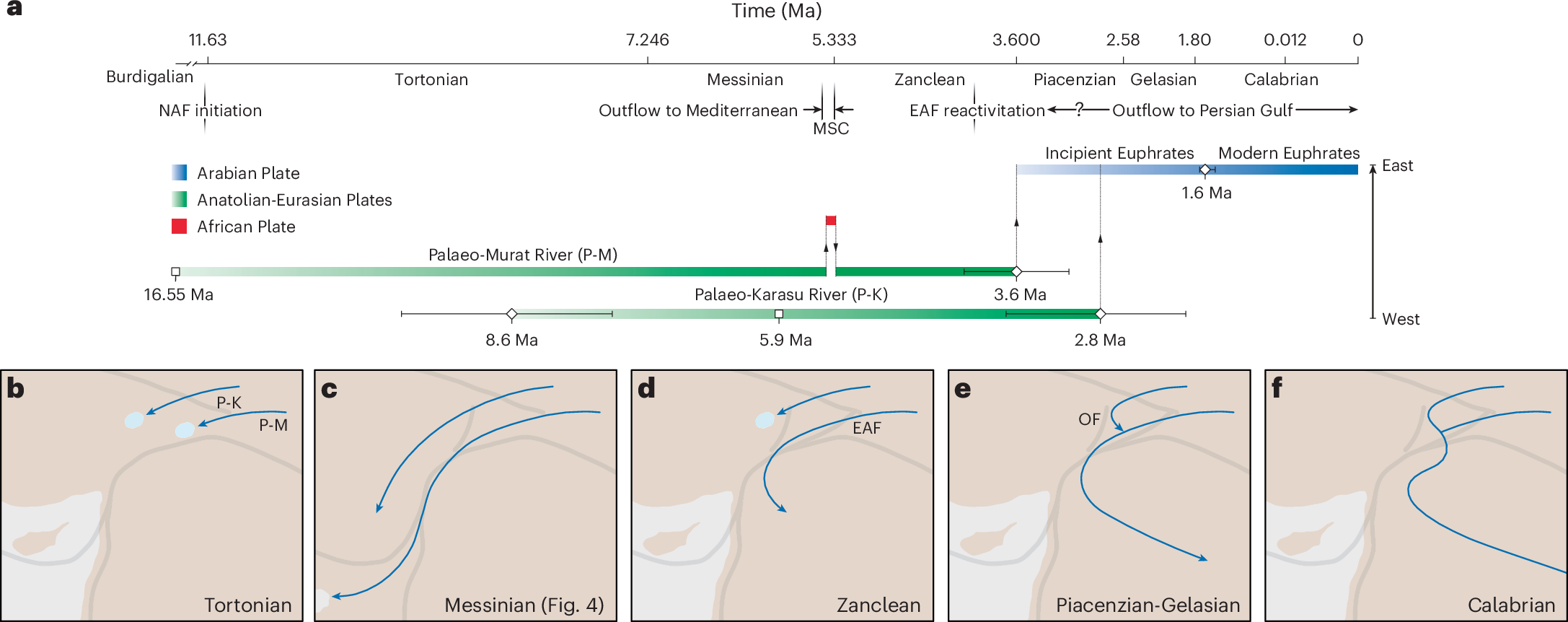 Fig. 5: Temporal evolution and formation model for the Euphrates River.