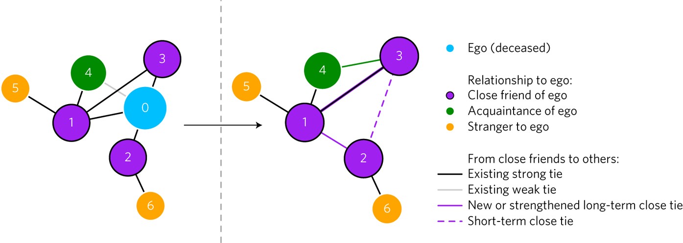Connective Recovery In Social Networks After The Death Of A Friend Nature Human Behaviour