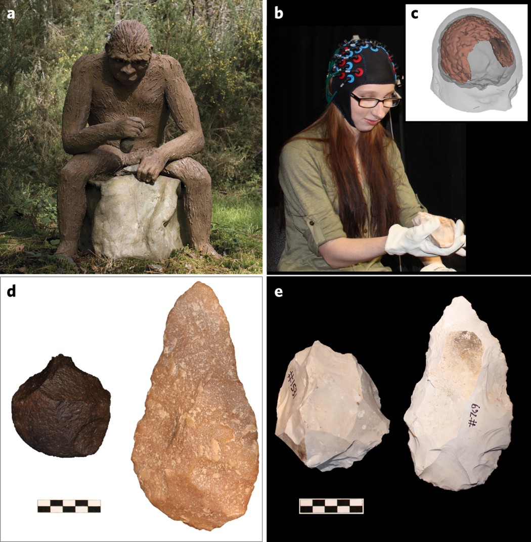 Early Man's Tool Use  The Sizzle in Science