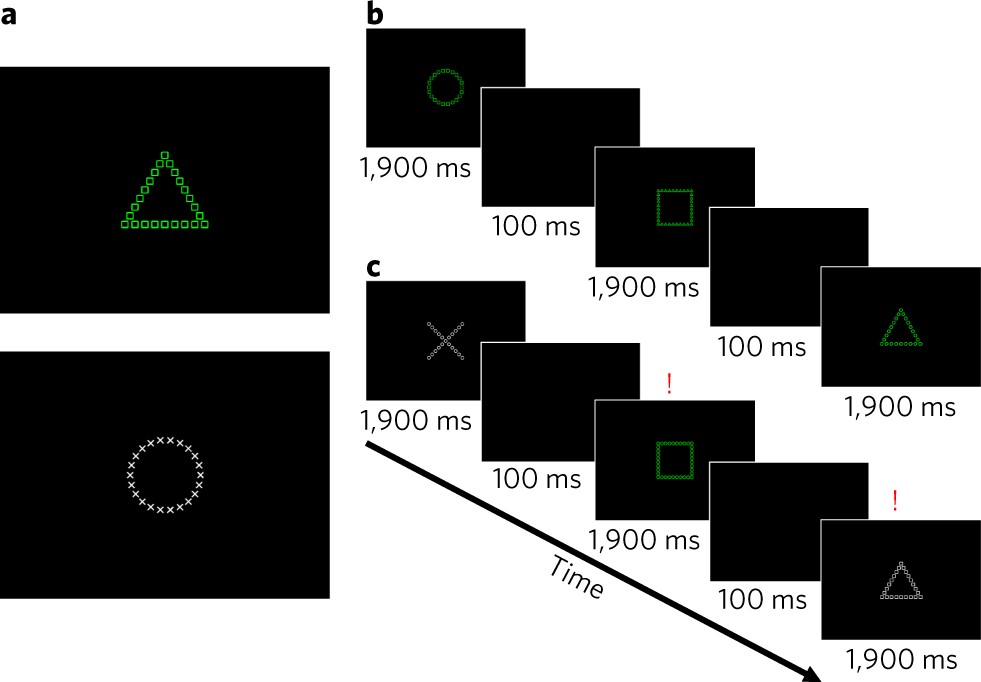 Functional Alignment With Anatomical Networks Is Associated With Cognitive Flexibility Nature Human Behaviour