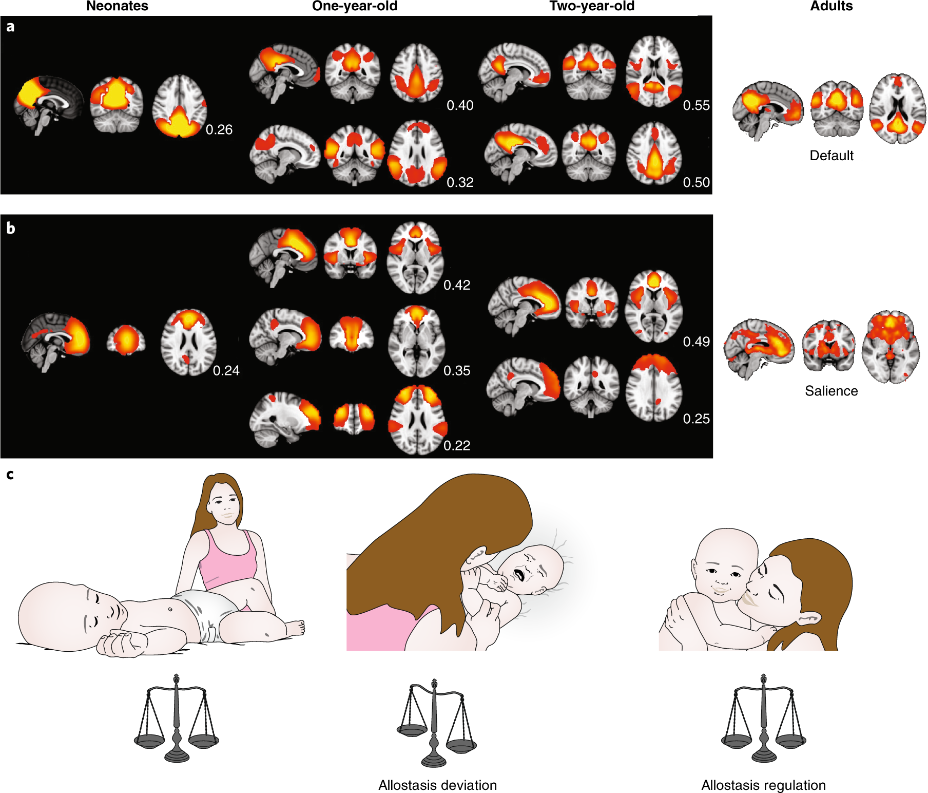 The Adaptive Mind Children Raised In >> Growing A Social Brain Nature Human Behaviour The Adaptive Mind Children Raised In >> Growing A Social Brain Nature Human Behaviour