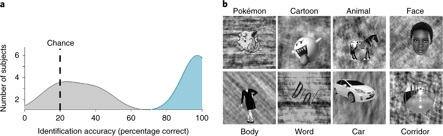 Brain scans reveal a 'pokémon region' in adults who played as kids - The  Verge