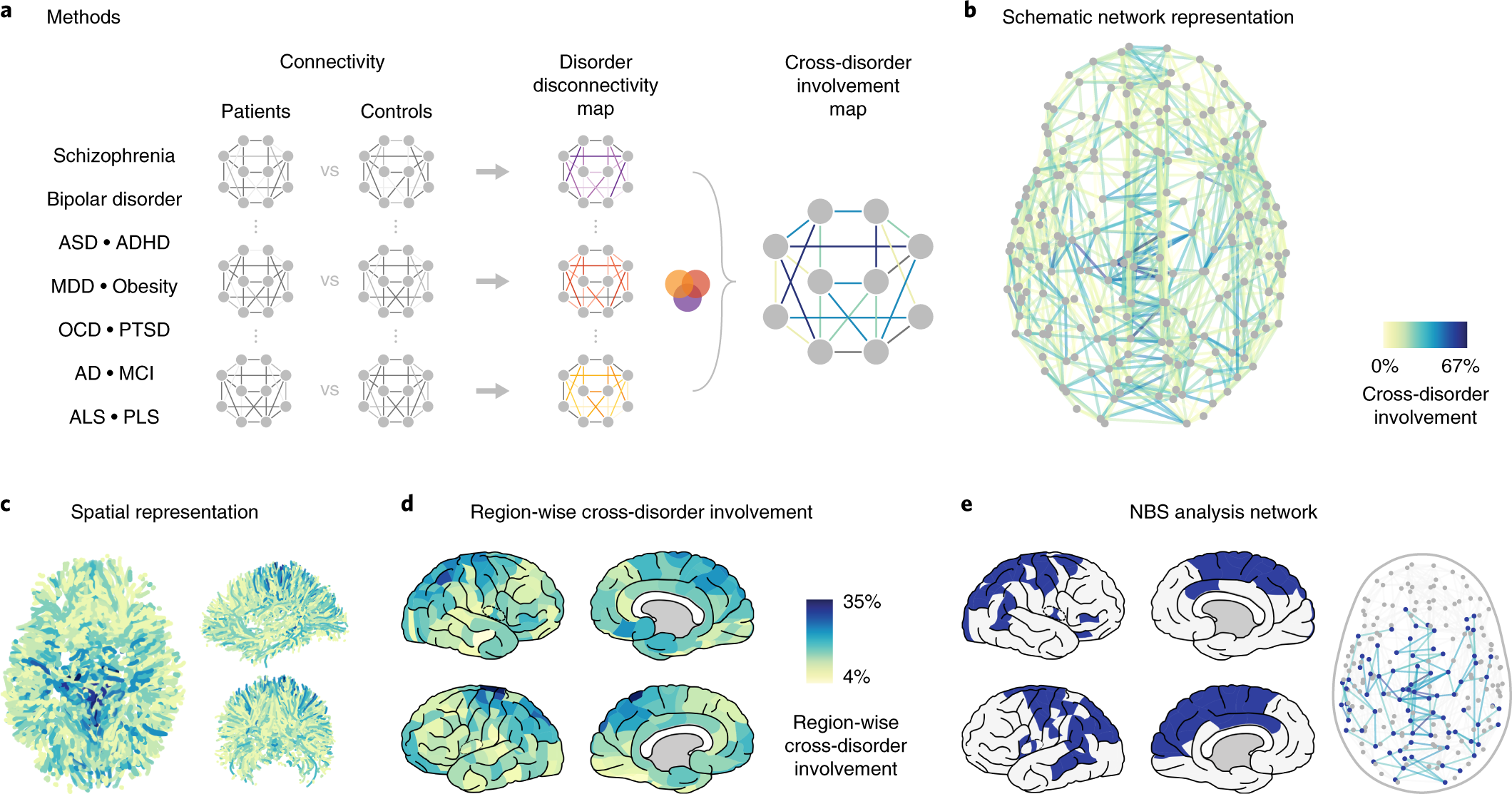 Adhd Real Brain Disorder Or Further >> Shared Vulnerability For Connectome Alterations Across Adhd Real Brain Disorder Or Further >> Shared Vulnerability For Connectome Alterations Across