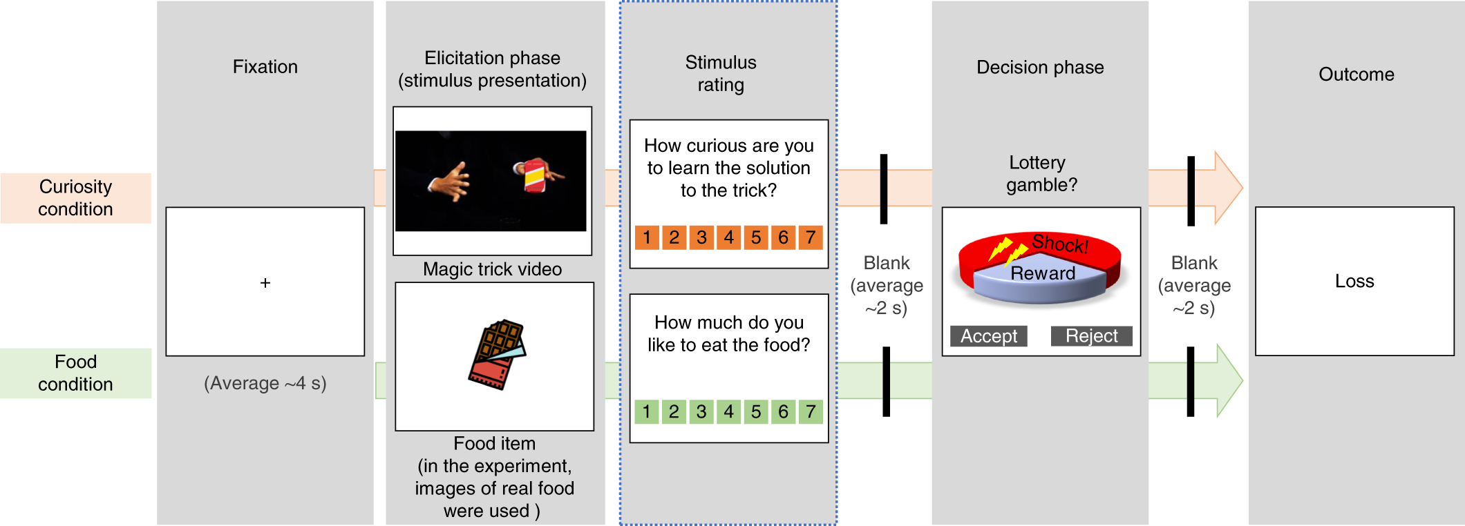 Shared striatal activity in decisions to satisfy curiosity and hunger at  the risk of electric shocks | Nature Human Behaviour