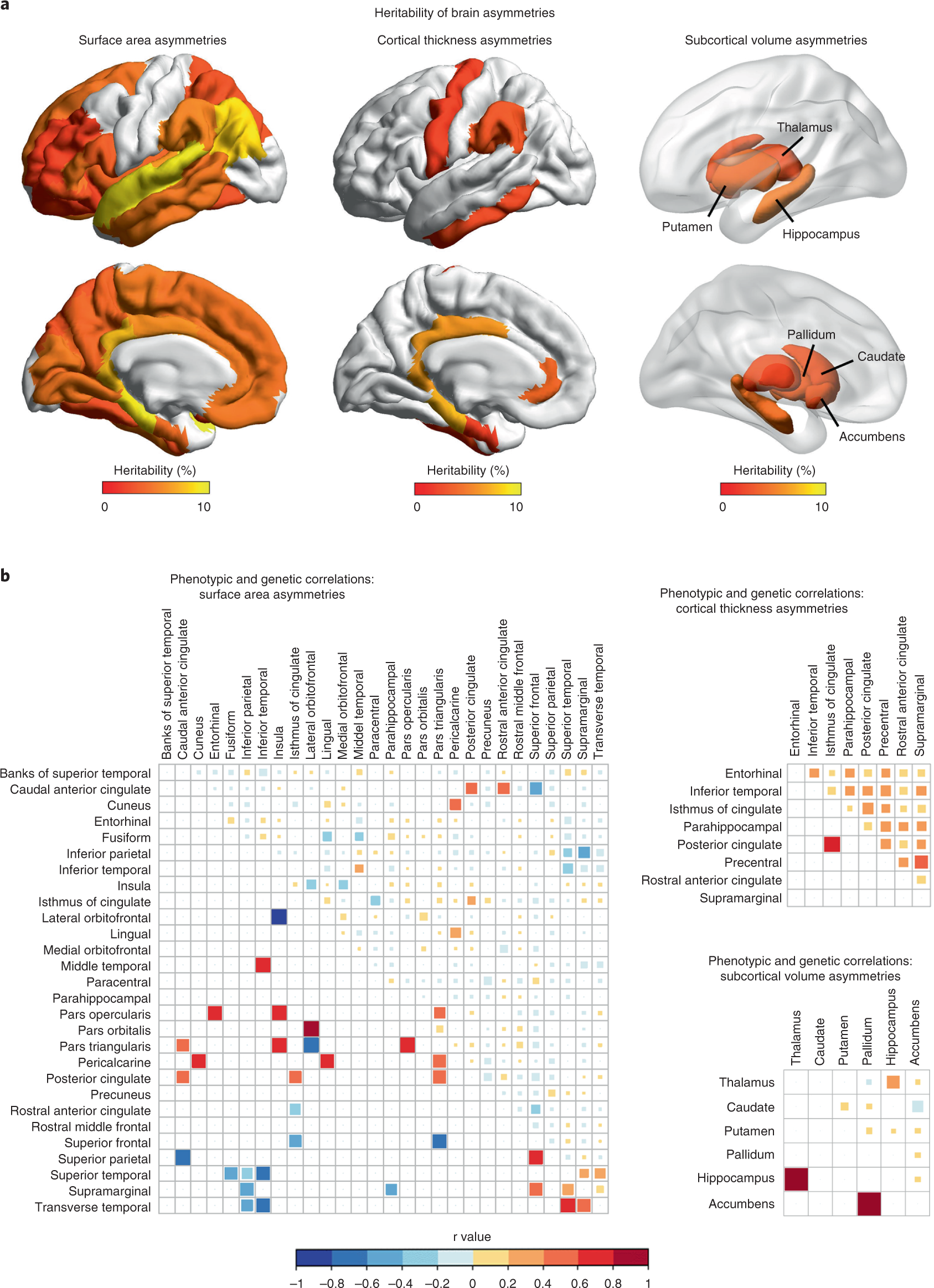 BRAIN TEST NÍVEL 297 EM PORTUGUÊS 