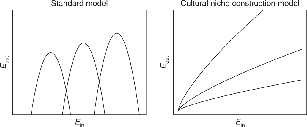 A quantitative analysis of intensification in the ethnographic record |  Nature Human Behaviour