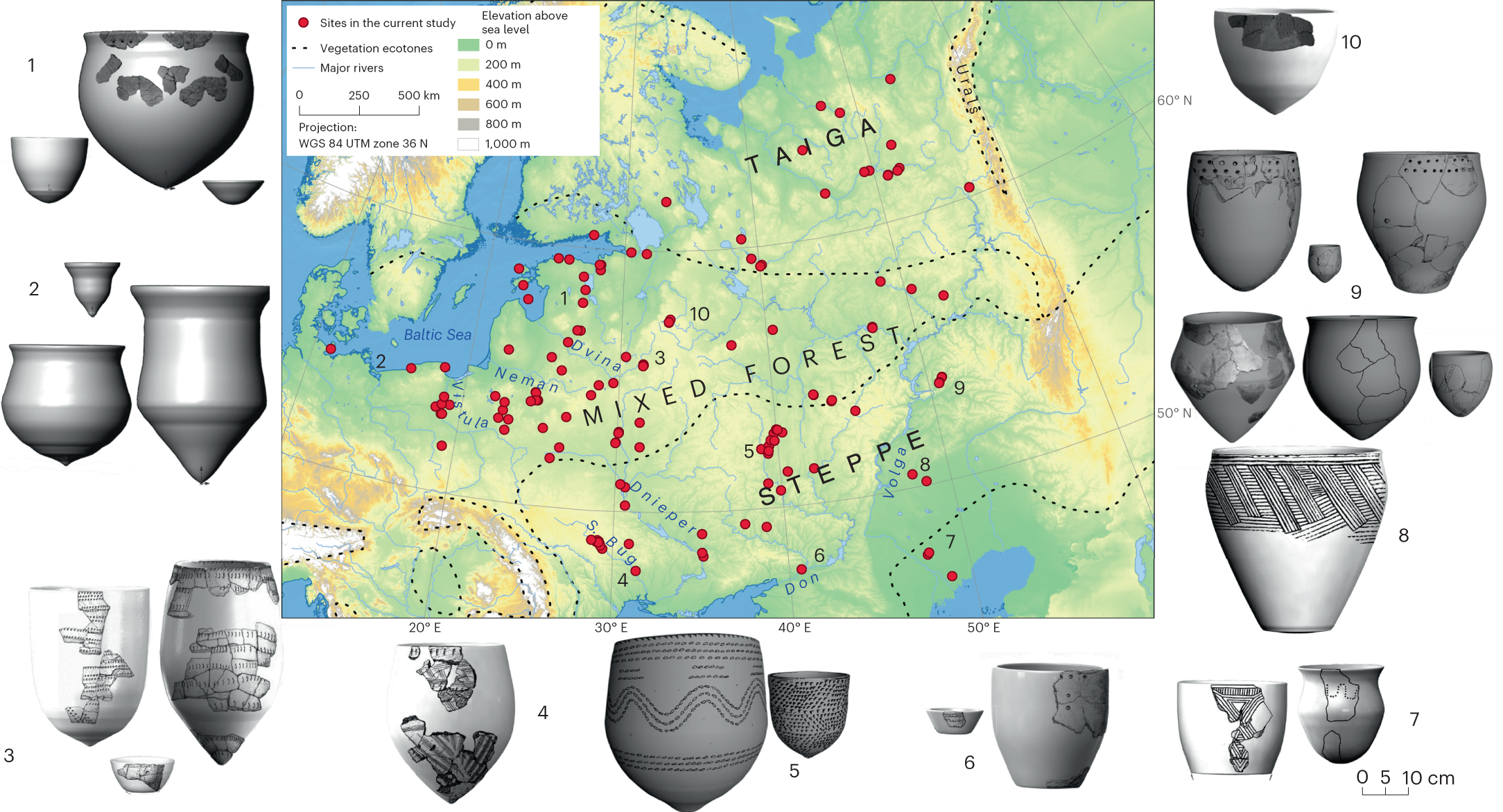 Ceramic cooking pots record history of ancient food practices