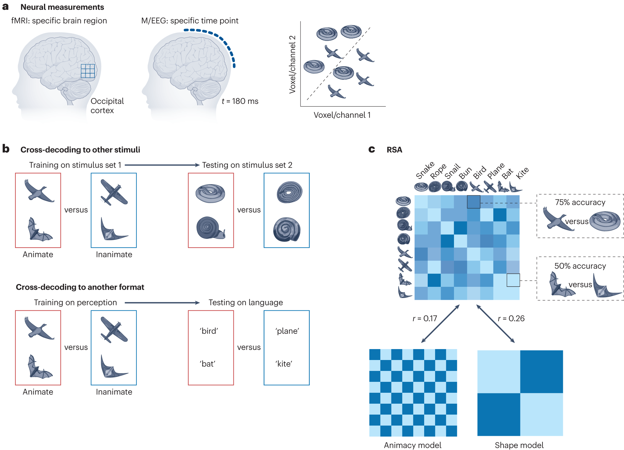 Testing cognitive theories with multivariate pattern analysis of