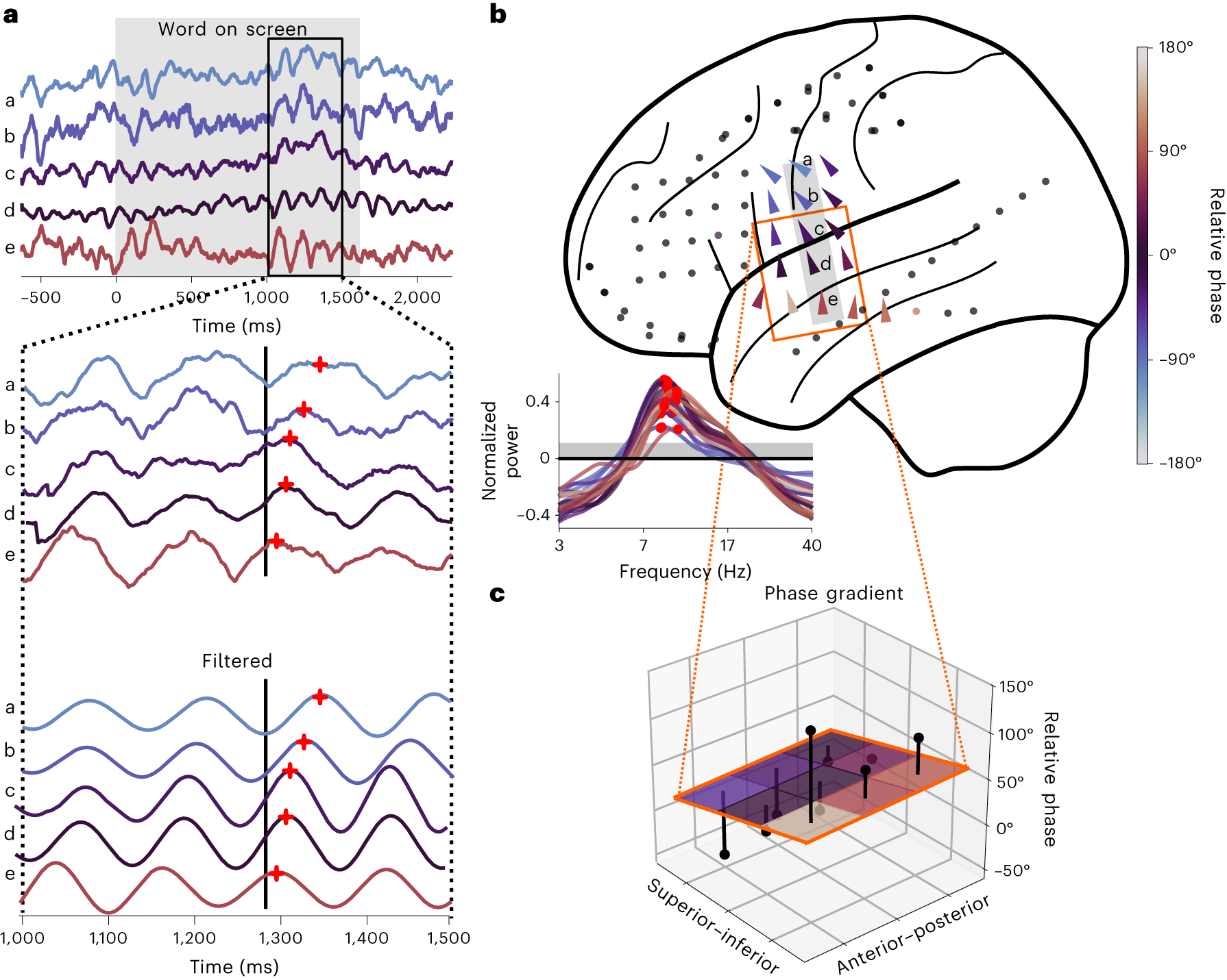 The direction of theta and alpha travelling waves modulates human 