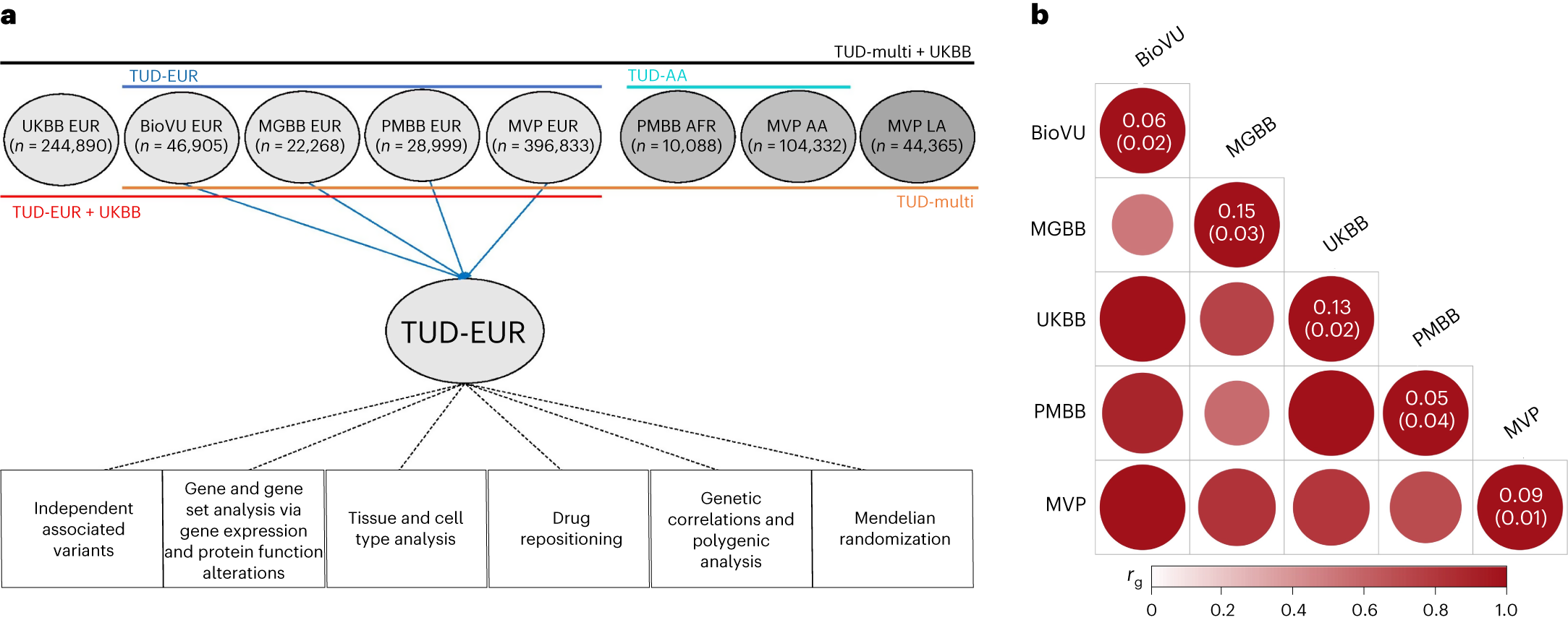 Multi-ancestry meta-analysis of tobacco use disorder identifies 461  potential risk genes and reveals associations with multiple health outcomes 