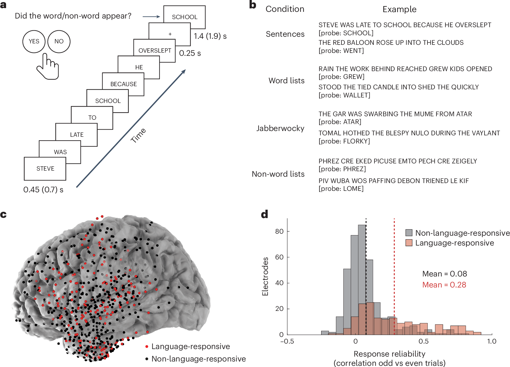 Neural populations in the language network differ in the size of their  temporal receptive windows | Nature Human Behaviour