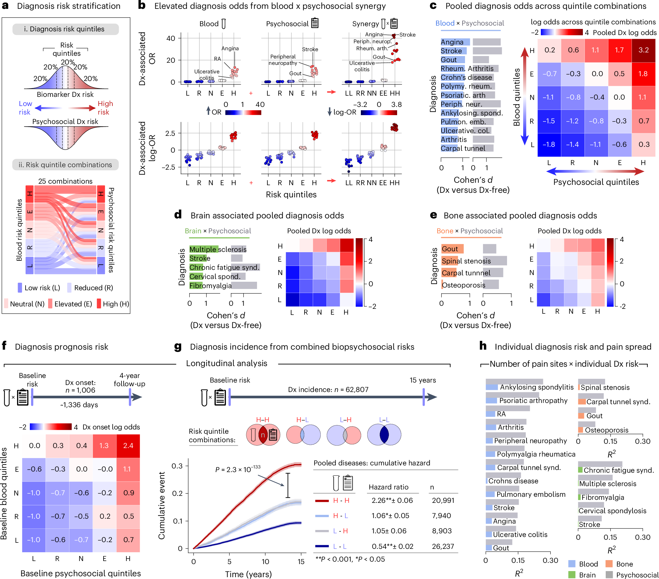 Fig. 5: Assessing biopsychosocial synergy in the prognosis of pain-associated medical conditions.