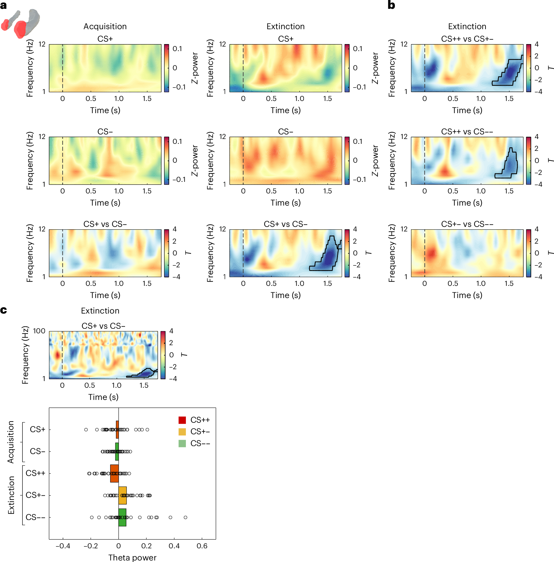 Fig. 2: Higher theta power in the amygdala for CS− than for CS+ trials during extinction.