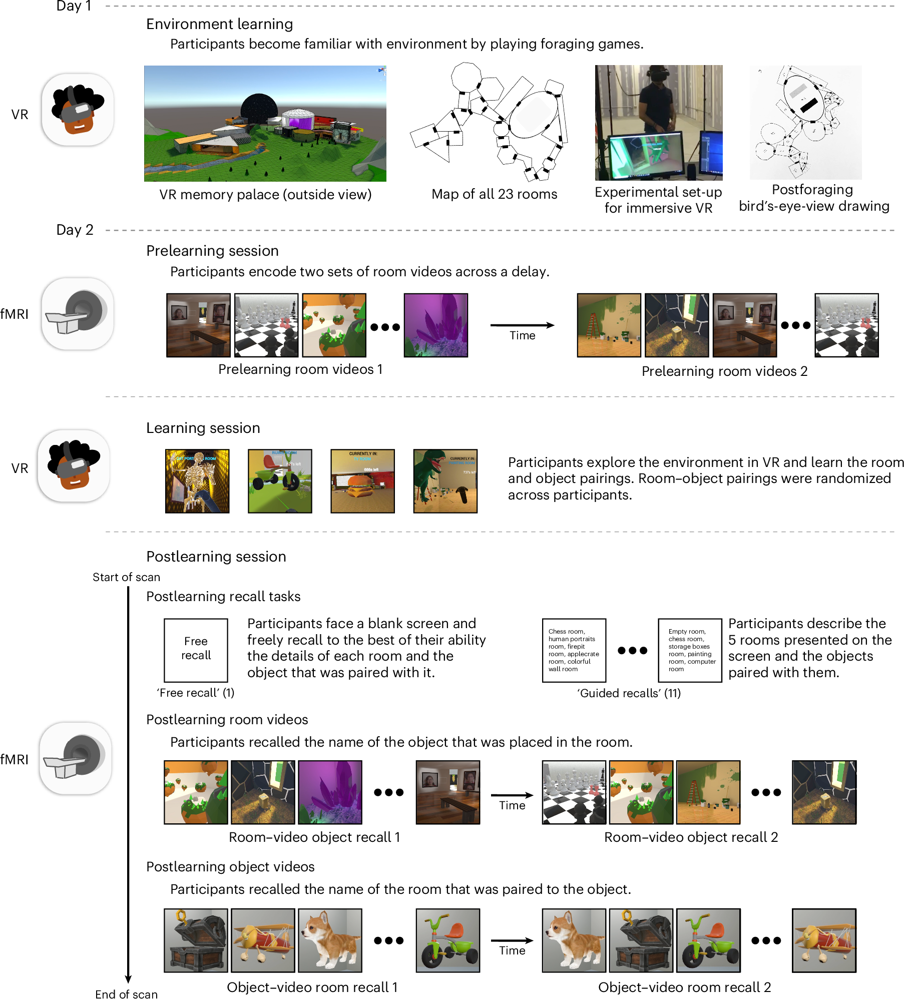 記憶を刻む場所―VRとMRIで記憶形成の神経メカニズムを解明(The Places We Make Memories Help Us Inscribe Them)