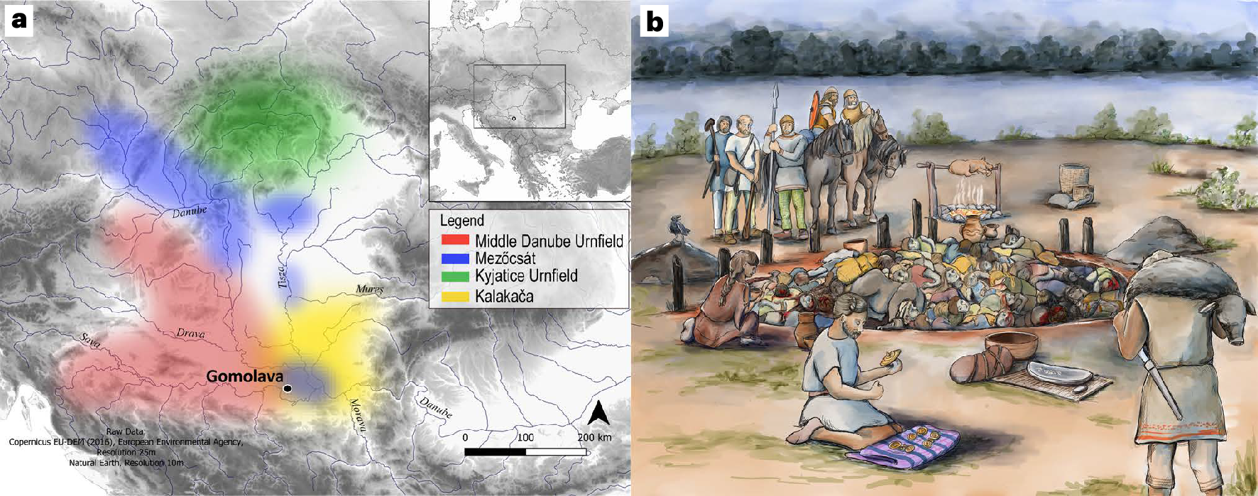 A large mass grave from the Early Iron Age indicates selective violence  towards women and children in the Carpathian Basin | Nature Human Behaviour