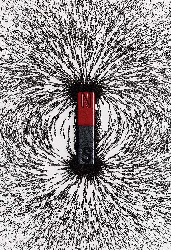 Magnetic Charisma: Attracting Opportunities Like a Pro