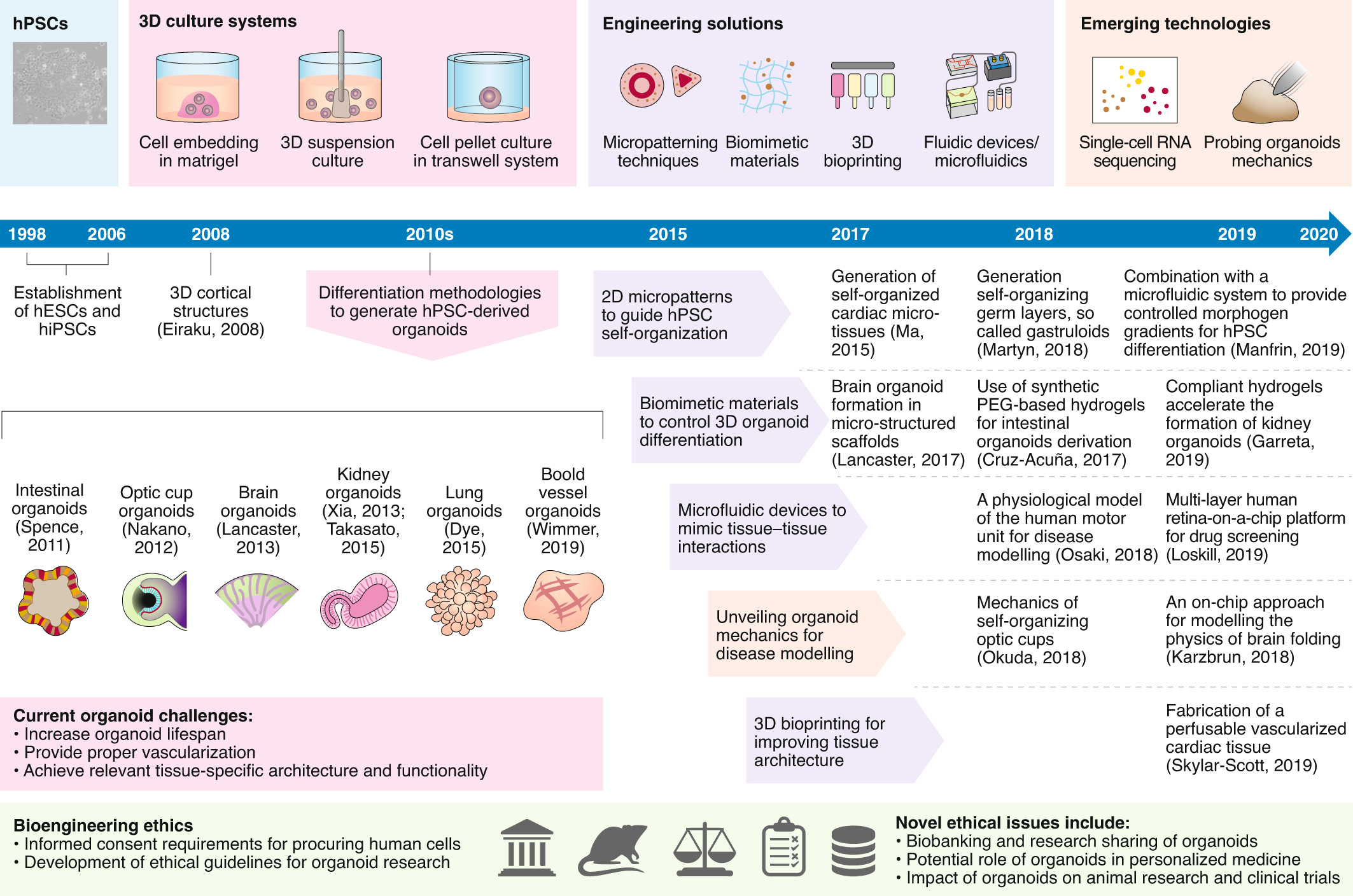 Rethinking Organoid Technology Through Bioengineering Nature Materials