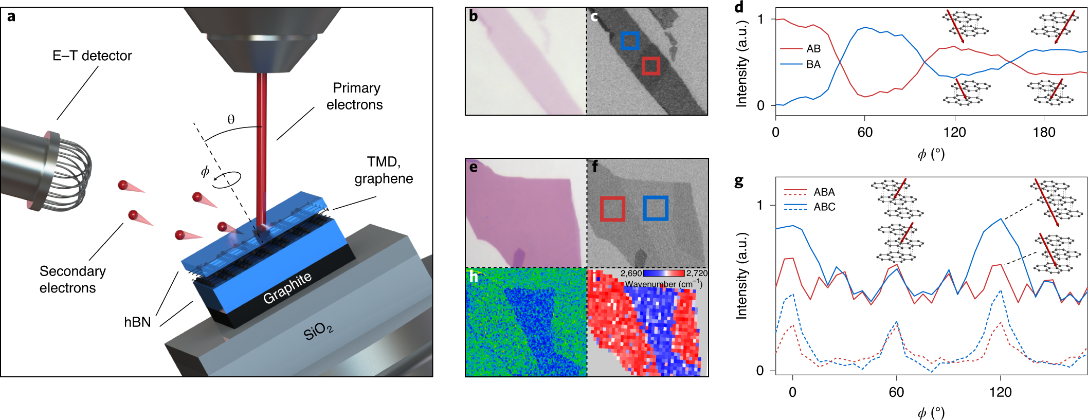Excitons In A Reconstructed Moire Potential In Twisted Wse2 Wse2 Homobilayers Nature Materials