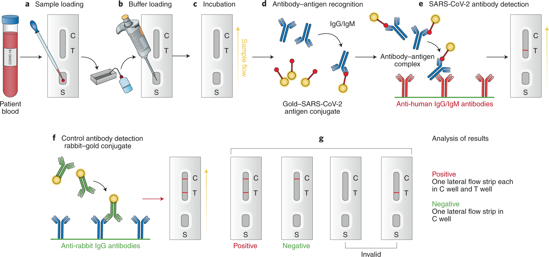 Citest COVID-19-Antigen-Selbsttest (10 Stk.) ab 7,99