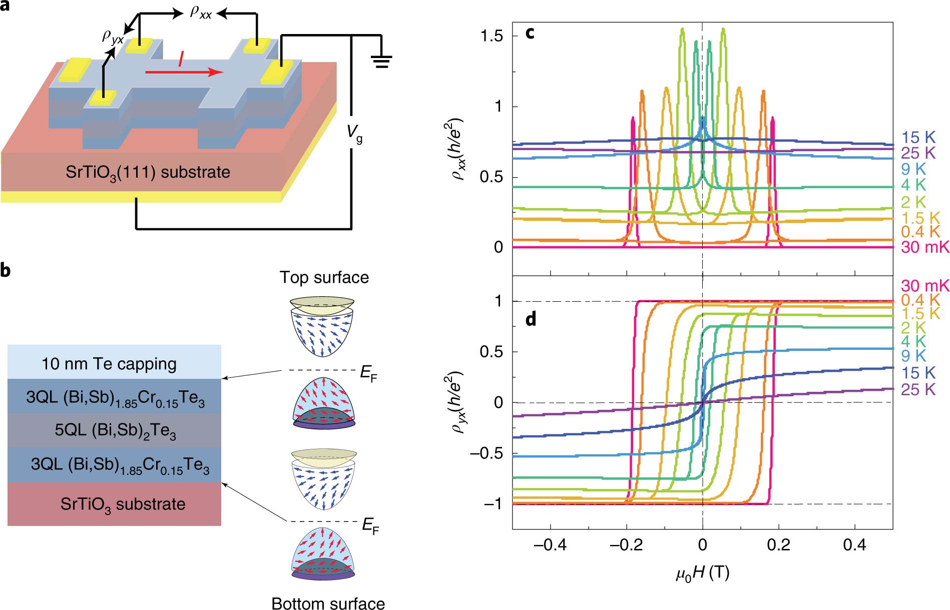 Spin-Chirality-Driven Quantum Anomalous and Quantum Topological Hall  Effects in Chiral Magnets