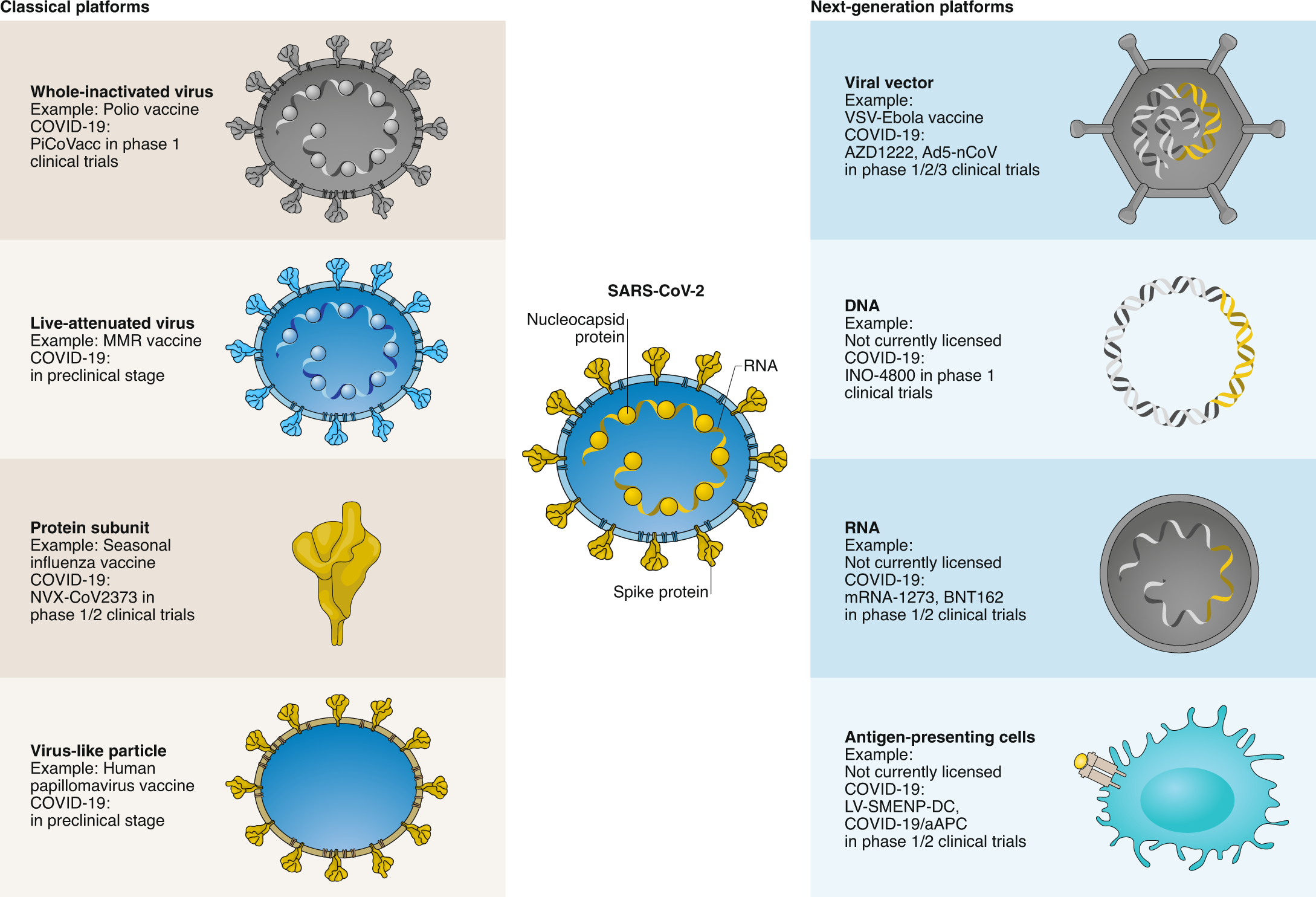 Next-generation platforms for COVID-19 | Nature Materials