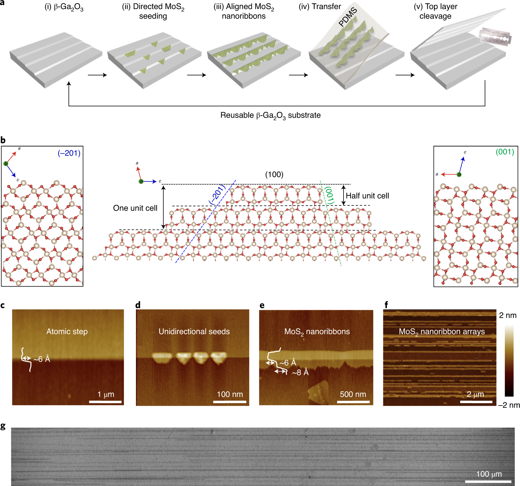 Ledge-directed epitaxy of continuously self-aligned single-crystalline  nanoribbons of transition metal dichalcogenides | Nature Materials