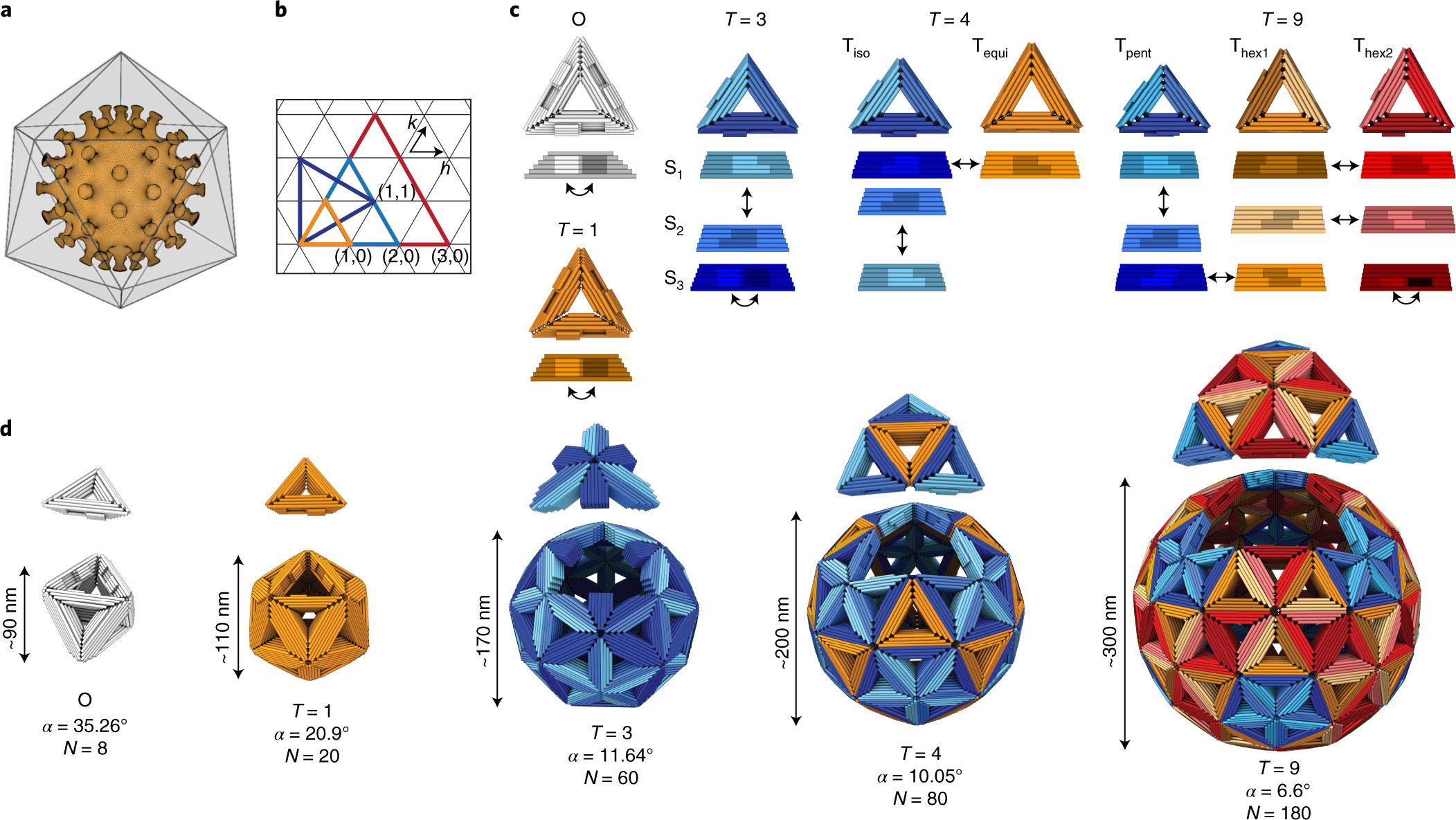 Programmable Icosahedral Shell System For Virus Trapping Nature Materials