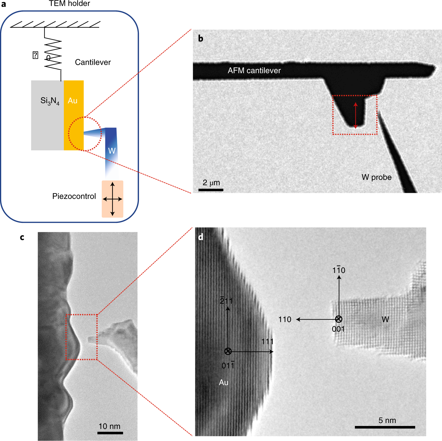 Atomistic observation on diffusion-mediated friction between  single-asperity contacts | Nature Materials