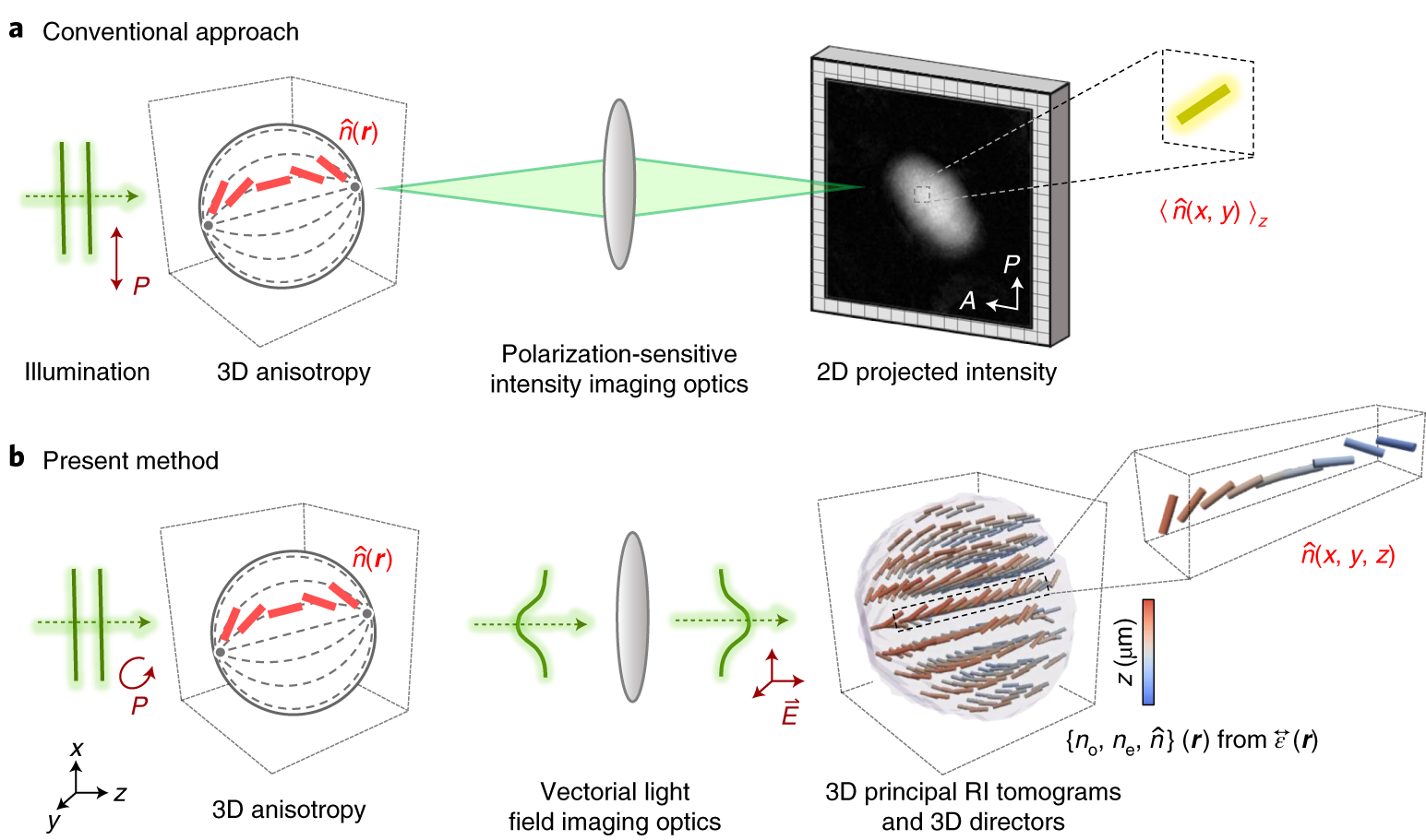 22 Usp Compact Images, Stock Photos, 3D objects, & Vectors