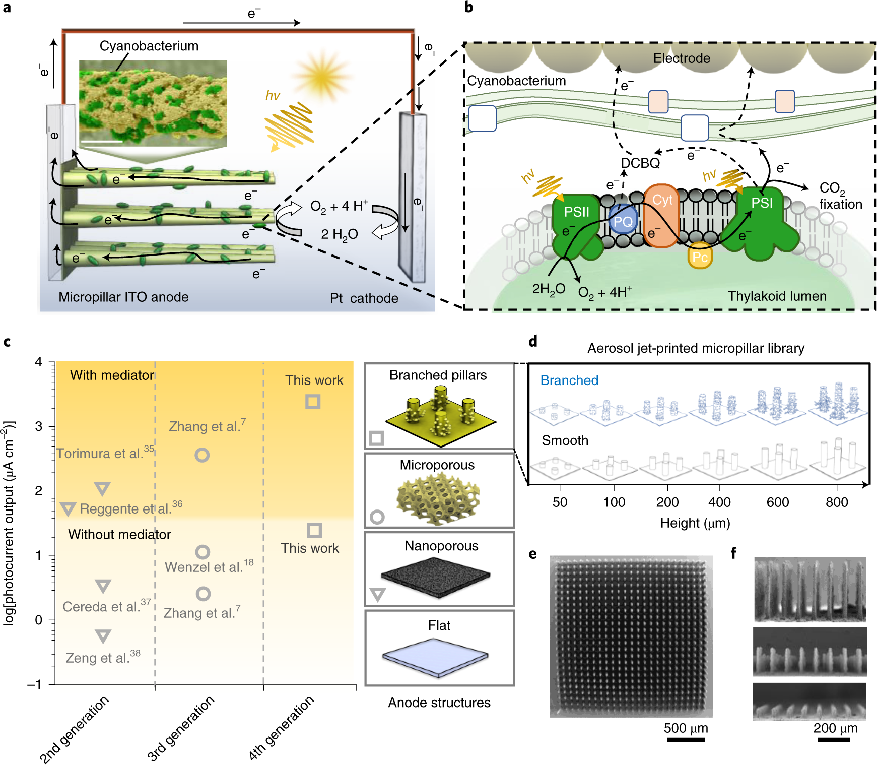 3d Printed Hierarchical Pillar Array Electrodes For High Performance Semi Artificial Photosynthesis Nature Materials